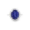 "Wholesaler Closing Down Must Be Sold" 14K White Gold, Tanzanite and Diamond, Vintage Style Halo Ring - 2