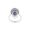 "Wholesaler Closing Down Must Be Sold" 14K White Gold, Tanzanite and Diamond, Vintage Style Halo Ring - 4