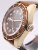 Tudor Black Bay Bronze Brown Dial Leather Strap 43mm - 3