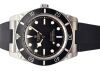 Tudor Black Bay 54 M79000N (2023)