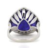 14K White Gold, 15.19ct Tanzanite and Diamond, Halo Ring - 3