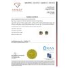 14K Yellow Gold, Heliodor and Diamond, Halo Stud Earrings. - 4