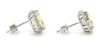 14K White Gold, Heliodor and Diamond, Halo Stud Earrings - 2