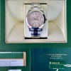 Rolex Datejust 41 II Ref 116300 2013 Box and Papers - 7