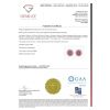 14K Yellow Gold, 9.74ct TSW Ruby and Diamond, Halo Stud Earrings - 4