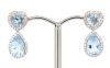 14K Rose/White Gold, Aquamarine and Diamond, Double Drop Halo Earrings