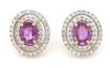 14K Yellow Gold, Pink Sapphire and Diamond, Double Halo Stud Earrings