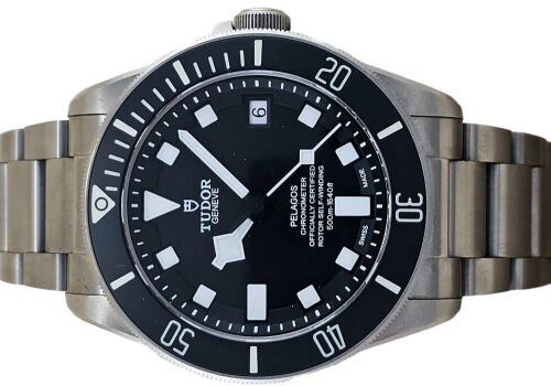Tudor Pelagos 25600TN 2022