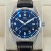 IWC Pilot Mark XX 2025 - 2