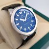 IWC IW354807 Aquatimer Automatic 42mm ~2000s - 2