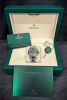 Rolex 126234 Datejust 36 Green Palm Dial 36mm 2023 Box & Papers - 2