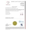"Wholesaler Closing Down Must Be Sold" 14K Rose Gold, Ruby and Diamond, Drop Earrings - 5