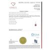 "Wholesaler Closing Down Must Be Sold" 14K White Gold, Ruby and Diamond, Halo Pendant - 5