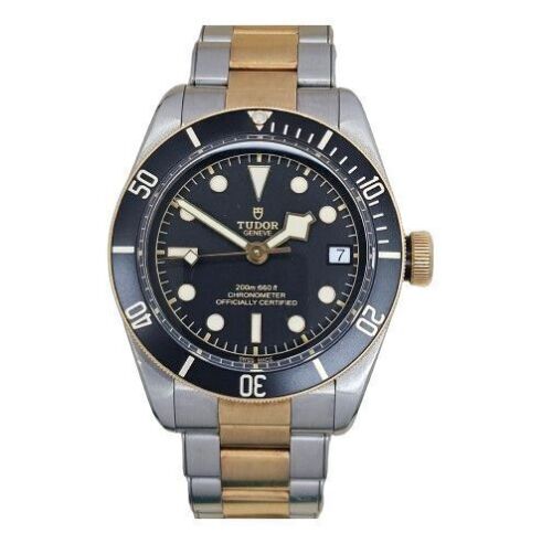 Tudor Black Bay S&G 79733N