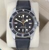 Tudor Black Bay 41 Heritage 79230N - 3