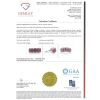 "WHOLESALER CLOSING DOWN MUST BE SOLD" 14K White Gold, Ruby and Diamond, Five Stone Halo Ring - 5
