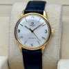 Omega Seamaster Automatic Gold Plated Ref 165.002 1965 - 5