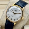 Omega Seamaster Automatic Gold Plated Ref 165.002 1965 - 7