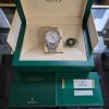 Rolex Sky-Dweller 336934 2019 - 7