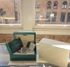 Rolex Submariner 114060LN 2017 Box and Papers - 6