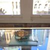 Rolex Datejust 36 Anniversary Diamond Dial 116233 (2014) - 6