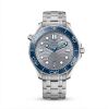 Omega Seamaster Diver 300 M Grey 210.30.42.20.06.001