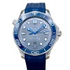 Omega Seamaster 300 Grey Ceramic Ref 210.32.42.20.06.001 2023