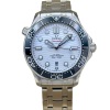 Omega Seamaster 300 White Ceramic Ref 210.32.42.20.04.001 2025