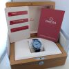 Omega 210.32.42.20.06.001 Seamaster Diver 300M Grey 42mm 2025 Box & Papers - 2