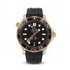 Omega Seamaster Diver 300M Black/Sedna 210.22.42.20.01.002