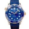 Omega Seamaster 300 Blue 18K Yellow Gold Ref 210.22.42.20.03.001 2025